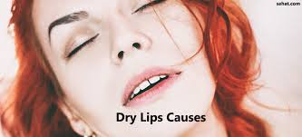9 possible causes of dry lips sehat