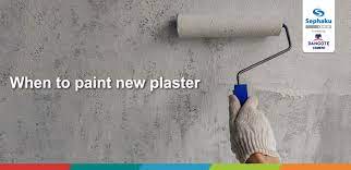 When To Paint New Plaster Sephaku Cement