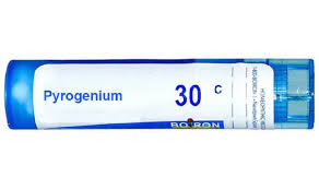 Boiron Pyrogenium Multi Dose Approx 80 Pellets 30 CH | eBay