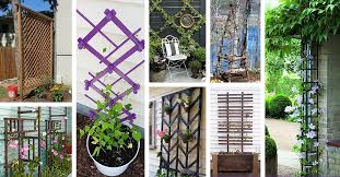 24 best diy garden trellis projects