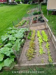 25 vegetable garden ideas for any size
