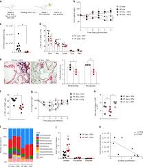 Respiratory syncytial virus (rsv) causes infections of the lungs and respiratory tract. Microbiota Derived Acetate Protects Against Respiratory Syncytial Virus Infection Through A Gpr43 Type 1 Interferon Response Nature Communications