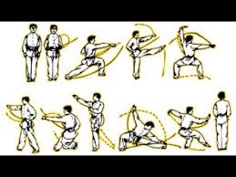 wushu kung fu 5 stance form full