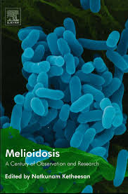 Melioidosis is a disease caused by bacteria called burkholderia pseudomallei. Melioidosis Information
