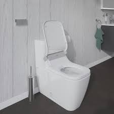 dual flush elongated toilet