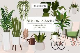 Indoor Plants Part 1 Design Cuts