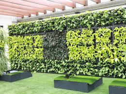 green wall vertical walls and urban
