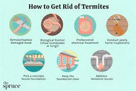 how to get rid of termites in your home