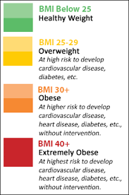Calculate Your Bmi To See What Risk Level You Are At Then