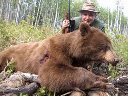 moose hunts bear hunts