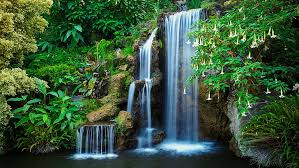 Waterfall Water Nature Vegetation