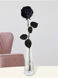 black roses order premium black roses