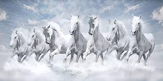seven horses hd wallpaper