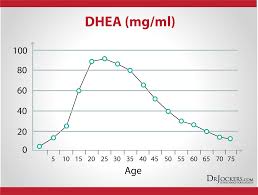 10 Tips To Boost Dhea Levels For Healthy Skin And Hormones