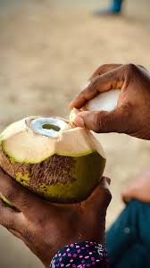 5 benefits of eating tender coconut meat