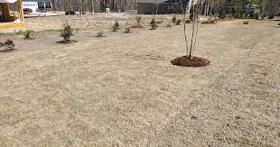 Why Winter Is A Great Time To Lay Sod