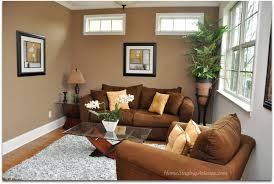 brown living room colors