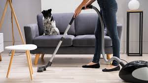 best vacuum cleaners with top reviews