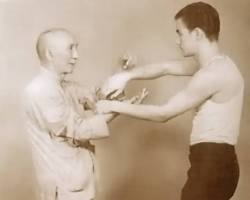 Immagine di Arte marziale Wing Chun