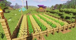 How To Build An Efficient Farm In Minecraft