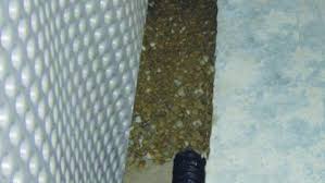 The liquid or sheet membrane keeps water from penetrating the basement walls. Interior Basement Waterproofing Internal Solution Rcc Waterproofing Toronto Wet Basement