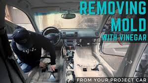 mold in your car use vinegar you