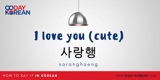 10 panggilan sayang bahasa arab, bikin pasutri makin harmonis! How To Say I Love You In Korean Don T Mess This Up