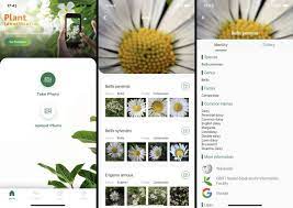 the 7 best plant identification apps of