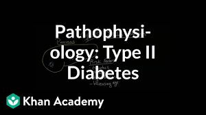 Pathophysiology Type Ii Diabetes Video Khan Academy