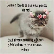 Welcome to my world!! Just wishing everybody would think of me this way...  especially u. ❤️ | Animaux amusants, Citation chat, Humour animaux
