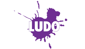 ludo studio pty ltd the screen guide