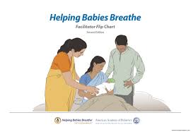 Helping Babies Breathe 2nd Edition Facilitator Flip Chart