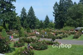 Portland Rose Garden