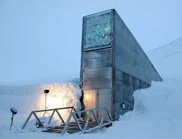 Image result for bunker vault