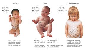 anatomy physiology of pediatric