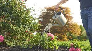 Guide To Garden Watering Methods