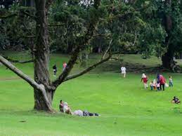 Salah satunya adalah pondok halimun. Tiket Masuk Taman Rekreasi Selabintana Hotel Penginapan Murah Di Sukabumi Harga Kolam Renang Yukpigi Informasi Wisata Terkemuka