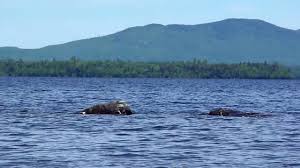 Offers treed and open 20, 30, and 50 amp sites. View Of Moosehead Lake From Our Camp Site Youtube