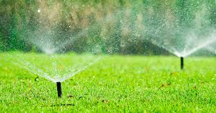 Seasonal Guide To Watering Instant Turf
