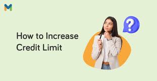 how to increase credit card limit in
