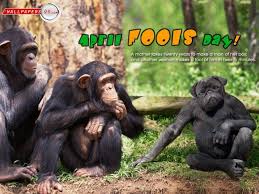Image result for april fool pictures