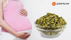 pumpkin seeds in pregnancy