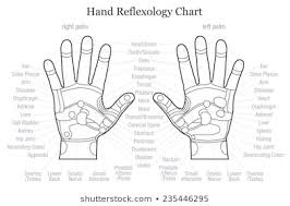 1000 Hand Reflexology Stock Images Photos Vectors