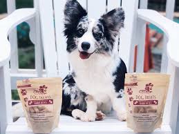 These treats are made with premium ingredients. Help My Dog Has Separation Anxiety Our Experience With Cbd Dog Treats Navy Corgi