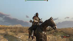 This is used when you are founding your own kingdom, and it only appears in warband. Stuck Inside With Mount Blade Ii Bannerlord