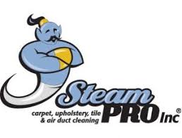 steam pro inc carpet cleaning