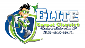 raves and reviews elite carpet cleaning