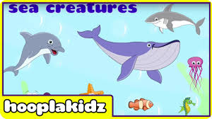 Sea Animals Activities For Toddlers Zoo Animals Activities