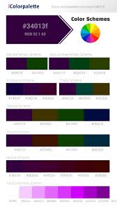 Is violet purple or blue? Hex Color Code 34013f Dark Violet Color Information Hsl Rgb Pantone