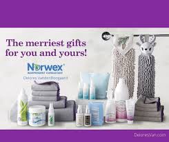 2020 norwex holiday s clean